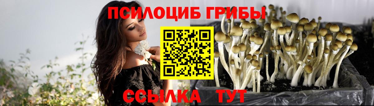 Галлюциногенные грибы ЛСД Рыбинск